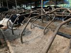 Te koop boxen., Dieren en Toebehoren, Stalling en Weidegang, Stalling