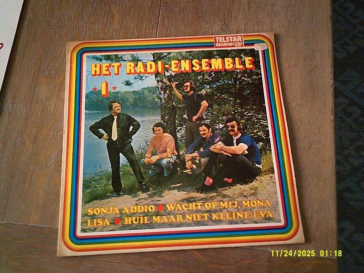 Het Radi-Ensemble – Het Radi-Ensemble *1*vinyl lp, Cd's en Dvd's, Vinyl | Nederlandstalig, Zo goed als nieuw, Levenslied of Smartlap