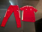 Adidas Ajax Pak Maat M, Ophalen of Verzenden, Nieuw, Rood, Voetbal