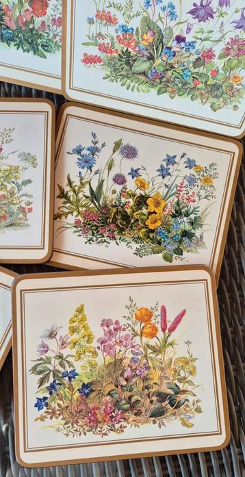 Pimpernel wildflowers placemats / grote onderzetters lunch beschikbaar voor biedingen