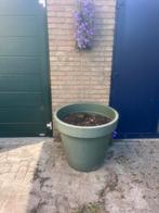 Plantenbak, Ophalen, Gebruikt, Rond, Minder dan 60 cm