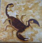 Schorpioen, Ophalen of Verzenden