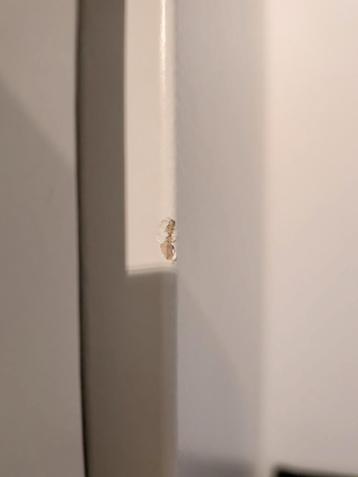 Gratis Ikea Pax kledingkast- Wit - afbeelding 2