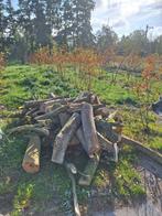 Stammetjes voor openhaard (magnolia), Tuin en Terras, Minder dan 3 m³, Ophalen of Verzenden