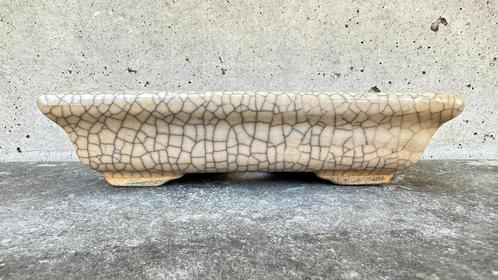 Bonsai schaal pot 15,5x8,5x4cm (5*), Tuin en Terras, Bloempotten, Zo goed als nieuw, Aardewerk, Minder dan 40 cm, Minder dan 25 cm