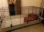 Grote cavia kooi met toebehoren, Dieren en Toebehoren, Knaagdieren en Konijnen | Hokken en Kooien, Kooi, Zo goed als nieuw, 75 tot 110 cm