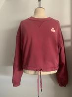 Isabel Marant Etoile sweater trui roze 38/M, Verzenden, Zo goed als nieuw, Roze, Maat 38/40 (M)