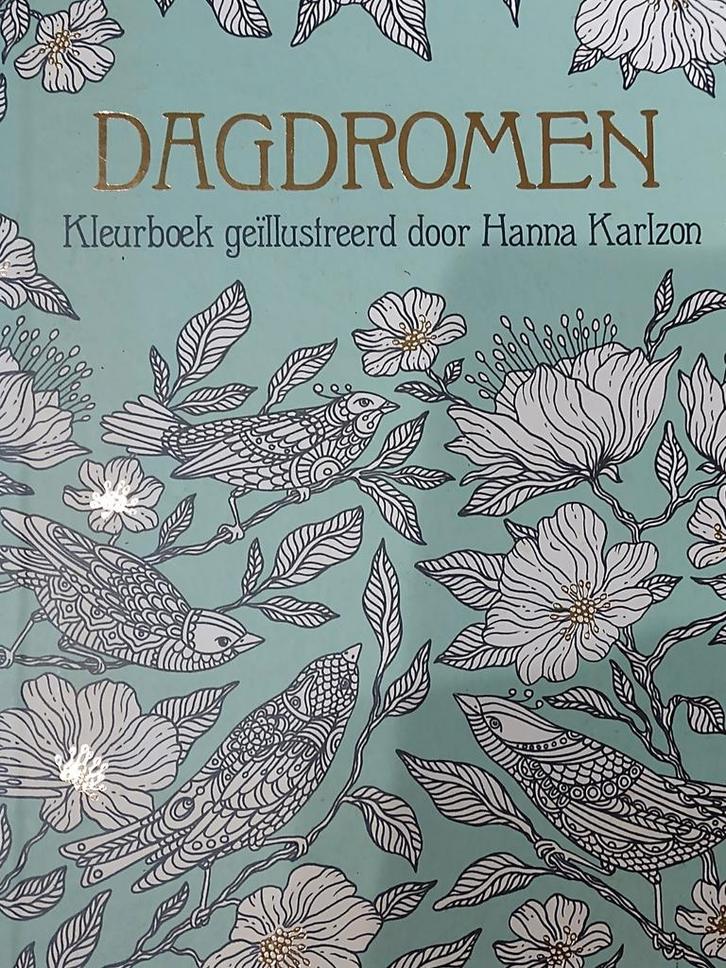 kleurboek : dagdromen - H. Karlzon ISBN 9789045320403, Hobby en Vrije tijd, Tekenen, Nieuw, Papier, Schets- of Tekenboek, Ophalen