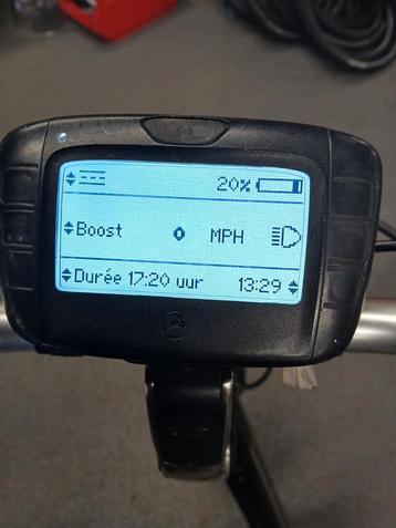 DISPLAY GAZELLE  beschikbaar voor biedingen