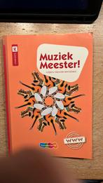 Rinze van der Lei - Muziek Meester! Druk 4, Boeken, Rinze van der Lei; Lieuwe Noordam; Frans Haverkort, Ophalen of Verzenden, Zo goed als nieuw