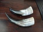 Set van 2 decoratieve hoorns, Ophalen of Verzenden, Gebruikt