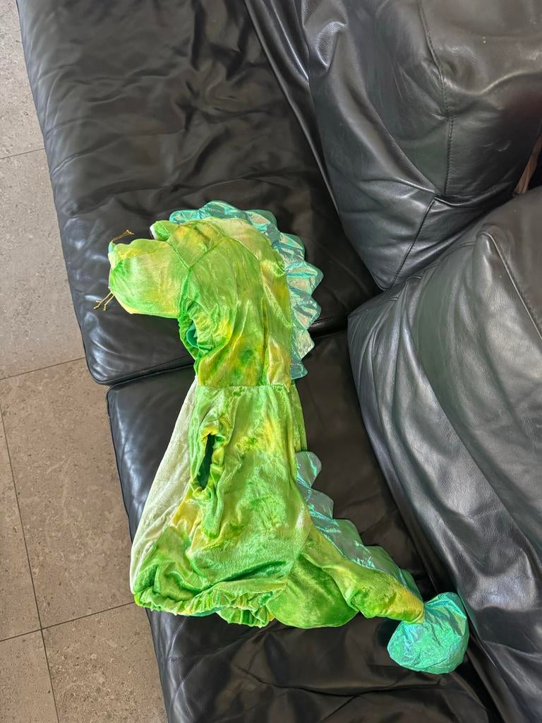 Draken kostuum 0-2 jaar, Ophalen of Verzenden, Gebruikt, 104 of kleiner, Jongen of Meisje