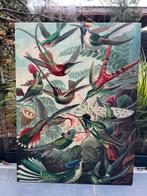 Ernst haeckel botanische schilderij kolibries, Ophalen of Verzenden, Zo goed als nieuw, Schilderij, 75 cm of meer