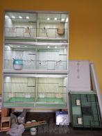 4 Kweekkooien 40x50x100, Van Keulen, Dieren en Toebehoren, Ophalen, Gebruikt, Overige materialen, Broedkooi of Kweekkooi