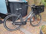 BSP damesfiets Barista laag frame 3 versnellingen, Fietsen en Brommers, Fietsen | Dames | Damesfietsen, 50 tot 53 cm, Ophalen
