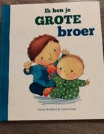 Grote Broer - David Bedford & Susie Poole, Ophalen of Verzenden, Zo goed als nieuw, David Bedford & Susie Poole, 3 tot 4 jaar