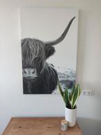 Canvas Schotse Hooglander, Huis en Inrichting, Woonaccessoires | Schilderijen, Tekeningen en Foto's, Ophalen, Zo goed als nieuw