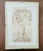 ets boom Ruud van Zon kunstenaar uit Heemskerk, Antiek en Kunst, Kunst | Etsen en Gravures, Ophalen
