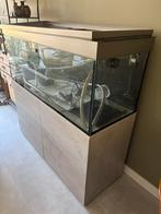 Aquarium 130x57x50, totaal hoogte 130, Ophalen, Zo goed als nieuw, Leeg aquarium