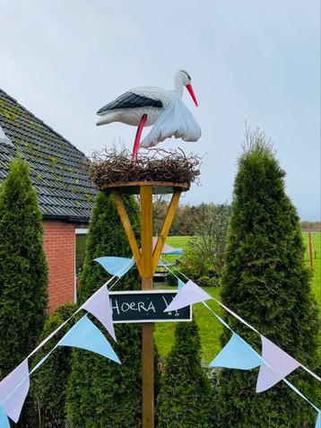 Ooievaar, ooievaarsnest  beschikbaar voor biedingen