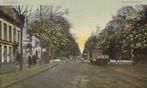 Haarlem, Haarlemmerhout met melkkar, Gelopen, Noord-Holland, Voor 1920, Verzenden