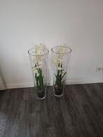 2 Vazen met orchideeën hoogte 70 cm, Ophalen, Zo goed als nieuw