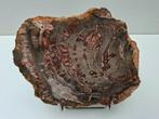 Schijf versteend hout no 2, Ophalen, Mineraal