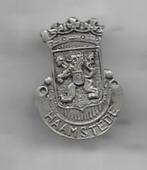 HAAMSTEDE WAPEN LOGO BROCHE SPELD, Verzenden, Gebruikt, Stad of Land, Speldje of Pin
