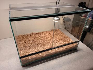 Nieuw terrarium van 50x35x35 met lichtpunt en bodembedekking beschikbaar voor biedingen