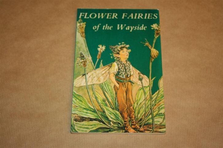 Flower Fairies of the Wayside - Cicely Mary Barker, Boeken, Prentenboeken en Plaatjesalbums, Gelezen, Ophalen of Verzenden