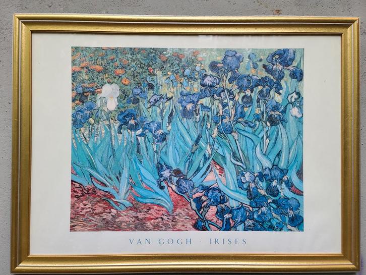 Van Gogh Irissen + Sarah Spackman Print met Gouden Lijst, Antiek en Kunst, Kunst | Schilderijen | Klassiek, Ophalen