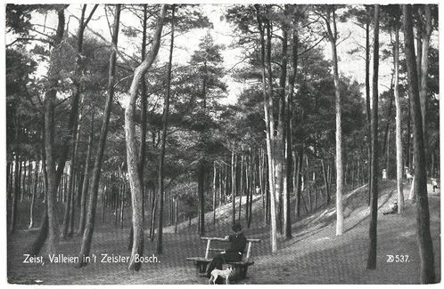 963461	Zeist	Valleien in 't Zeister Bosch	Mooie Oude kaart o, Verzamelen, Ansichtkaarten | Nederland, Ongelopen, Utrecht, Ophalen of Verzenden