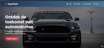 Website laten maken,  Webshop of App | automatisering | €250 beschikbaar voor biedingen