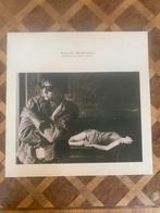 Paul Young - Between Two Fires LP, Ophalen of Verzenden, 1980 tot 2000, Gebruikt, 12 inch