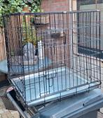 Bench   !!! NOOIT GEBRUIKT!!!, Dieren en Toebehoren, Ophalen of Verzenden