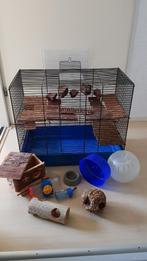 Hamsterkooi, Kooi, Minder dan 75 cm, Minder dan 60 cm, Hamster