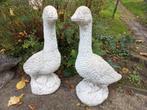 Te koop 2 witte ganzen beelden, Tuin en Terras, Tuinbeelden, Ophalen of Verzenden, Gebruikt, Kunststof