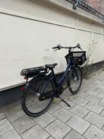 Cortina e-common 49cm frame 600watt, 47 tot 50 cm, Versnellingen, Batavus, Ophalen of Verzenden