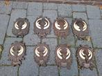 8x zwijnentand op versierd schild taxidermy opgezette hert, Verzamelen, Dierenverzamelingen, Ophalen, Wild dier, Gewei of Kop