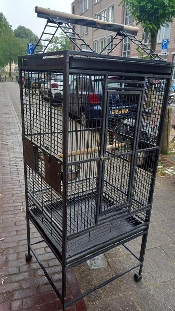 volgel kooi  beschikbaar voor biedingen