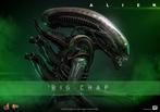 Hot Toys MMS826 Alien Big Chap, West Campus 1 76863 Herxheim (DE), Actiefiguur of Pop, Heo GmbH, Nieuw