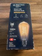 Smart Home Livarno Lux Hanglamp LED Filament, Ophalen of Verzenden, Nieuw, Glas, Minder dan 50 cm