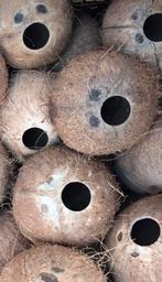 Kokosnoten gezocht, Hobby en Vrije tijd, Knutselen, Ophalen of Verzenden, Zo goed als nieuw