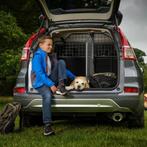 Hondenrek & scheidingsrek voor Ford Focus 2014 t/m 2018, Ophalen, Zo goed als nieuw