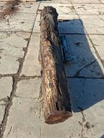 Veeneik/bog oak, Ophalen