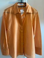 Mango Oranje Blouse - Nieuw, Kleding | Dames, Mango, Nieuw, Oranje, Ophalen of Verzenden
