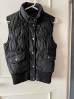 Bodywarmer zwart maat 38 of M, Ophalen of Verzenden, Zo goed als nieuw, Maat 38/40 (M), Zwart