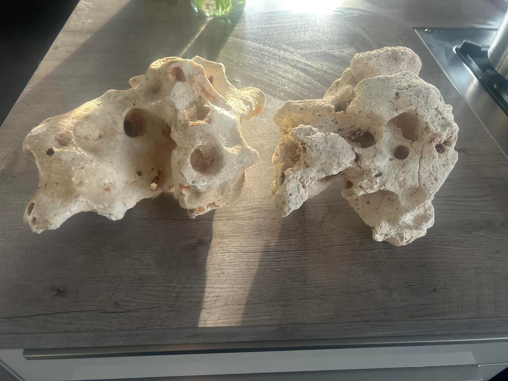 Aquarium stenen, Dieren en Toebehoren, Ophalen of Verzenden, Nieuw