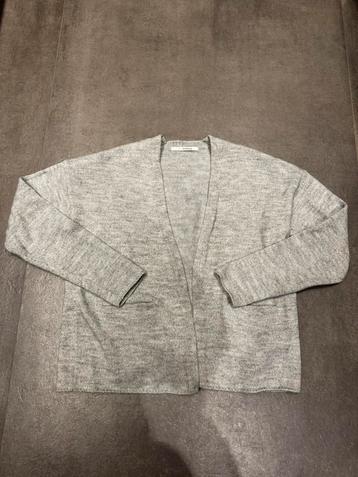 Sibbinlinnebjerg vest maat S beschikbaar voor biedingen