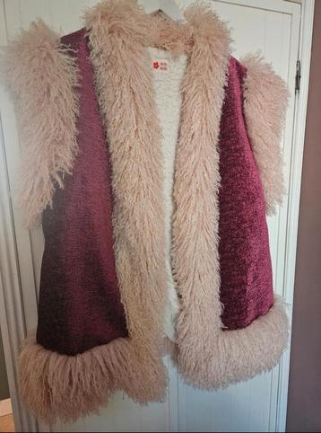 Noël Noël shop waistcoat  beschikbaar voor biedingen